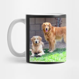 Two Golden Retriever Dogs Mug